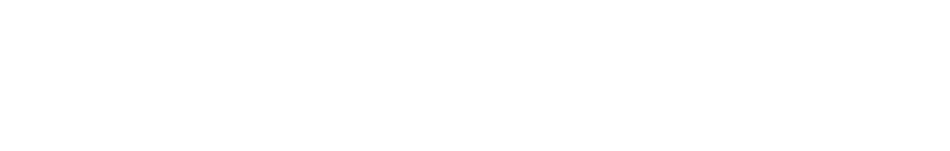 Seven Lions